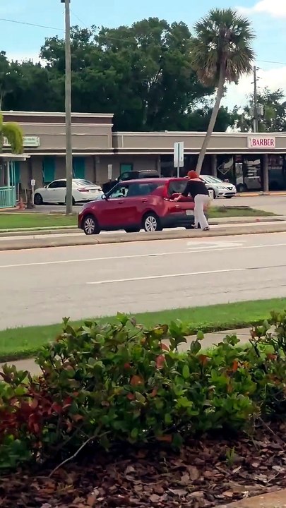 Une Kia Soul s’échappe toute seule et termine sa course dans une mare à Clearwater