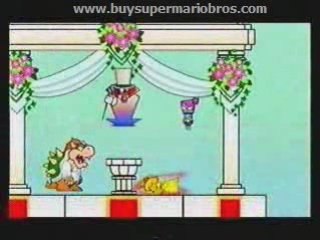 Super Paper Mario Wii