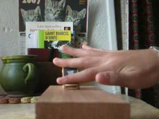 First Fingerboard Video for Beginners 🎸