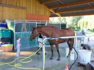 Maëlis douche Hôtesse