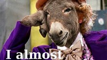 Sarcastic Mule - #viral #foryou #funny #hilarious #fyp #comedy