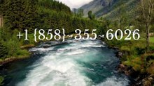 How do I contact Coinbase for resolving disputes?