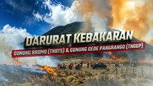 Darurat Kebakaran Gunung Bromo (TNBTS) dan Gunung Gede Pangrango (TNGGP)