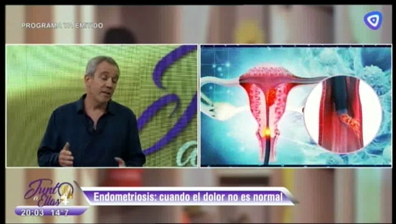 Programa Junto a Ellas 08-08-2026