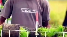 Alsintan Hadir di Sawah, Langkah Petani Menuju Pertanian Indonesia yang Lebih Modern
