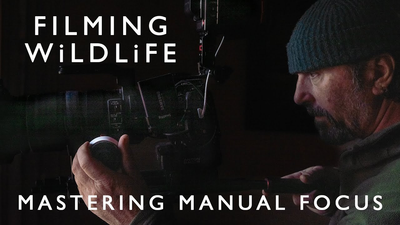 A Beginners Guide to Mastering Manual Focus for Filming Wildlife