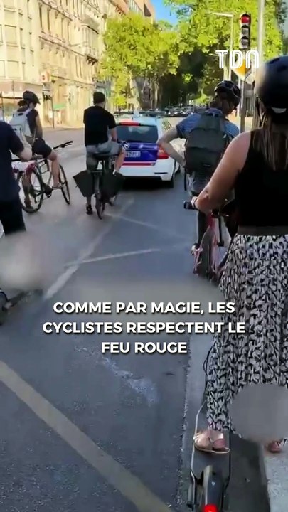 Comme par magie, les cyclistes respectent le feu rouge