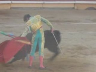 BAYONNE : NOVILLADA DU 14 JUILLET 2008 : MIGUEL TENDERO