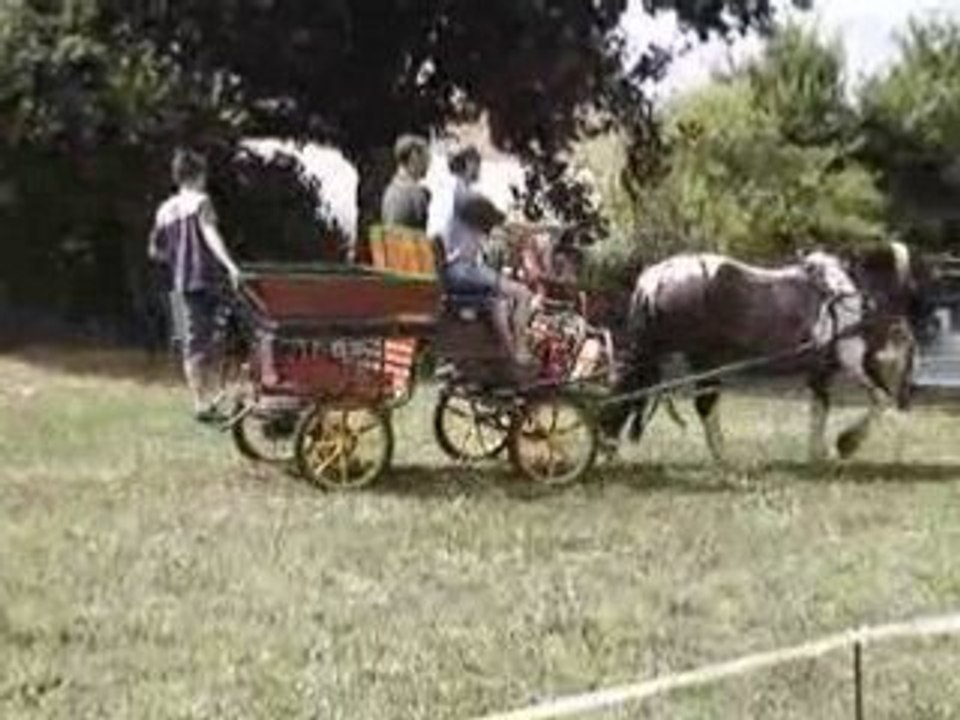 Bubulle attelé