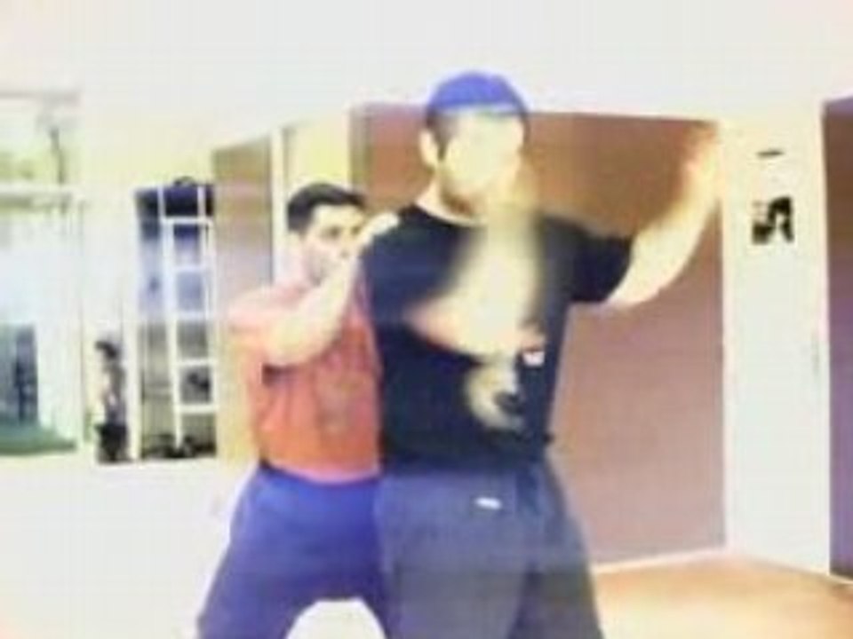 Wing Chun Kung Fu FK 2008