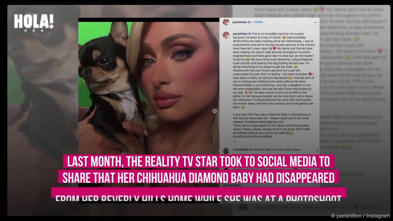 Paris Hilton hires seven pet mediums amid searc...
