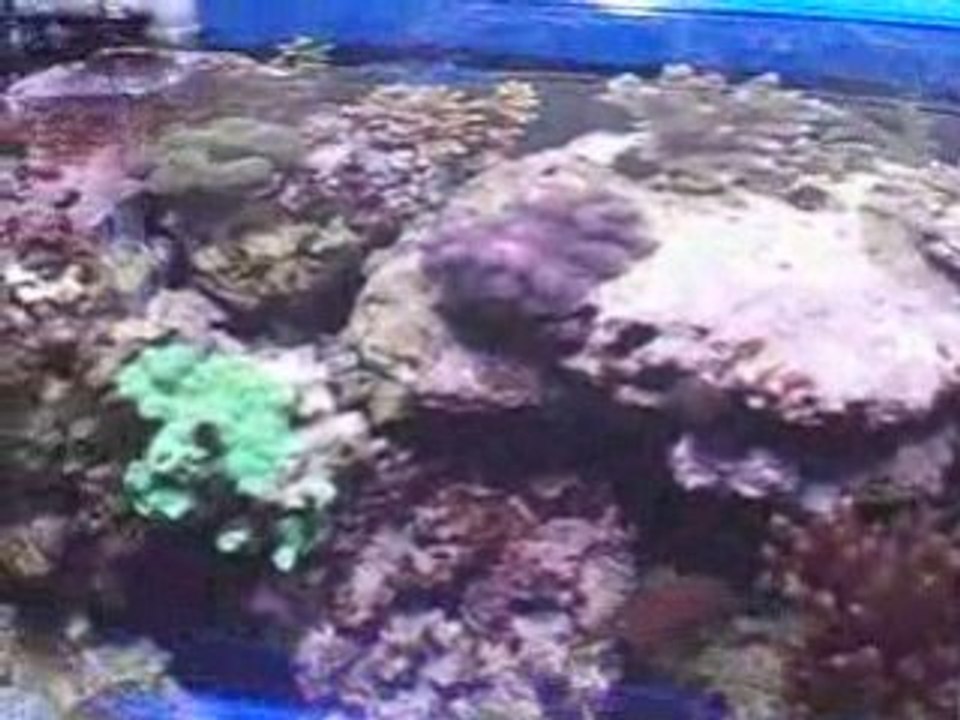 MOV0C1