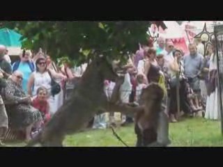 Marché médiéval de Bayonne - 14 juillet 2008