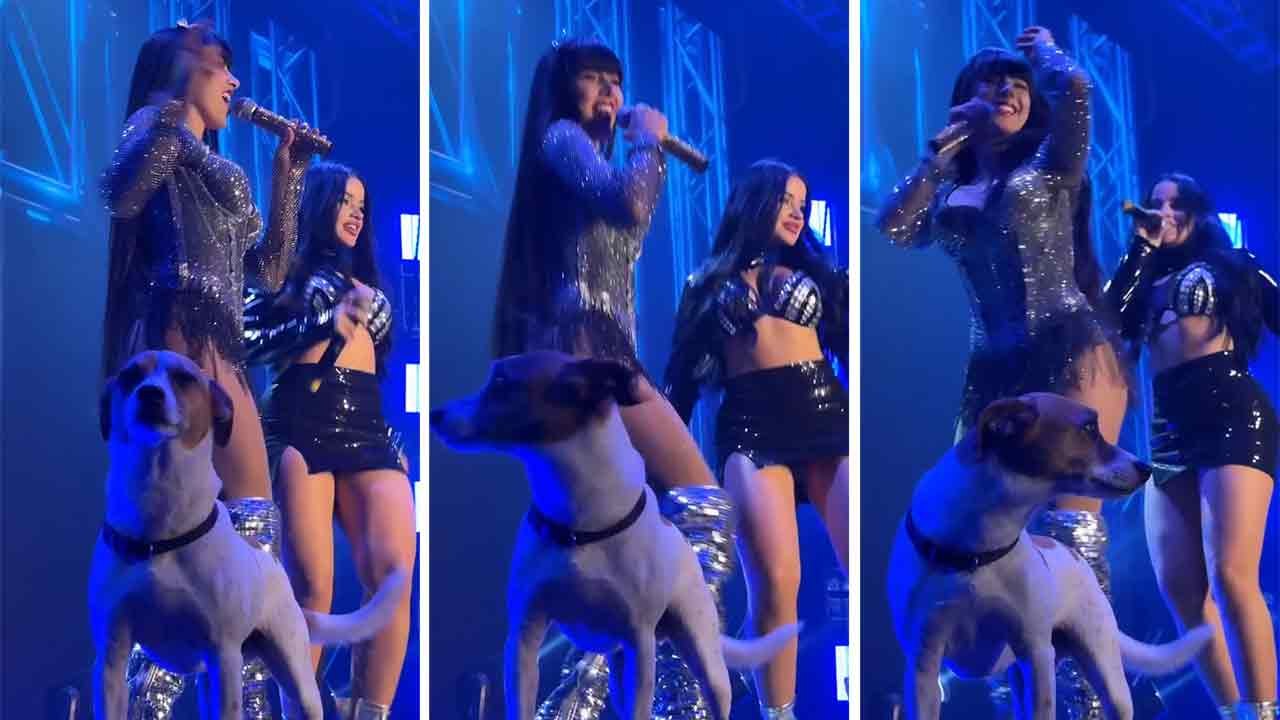 ナヤラ・ユミとジュリアナ・ボンデ、ライブ中に子犬とステージを共有