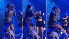Nayara Yumi e Juliana Bonde condividono il palco con un cagnolino durante uno show