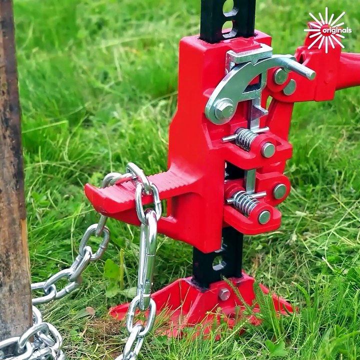 Check out effective ways for tree stumps removal!