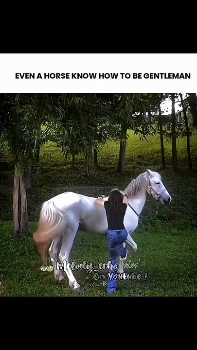 the way he pull his leg for her!!😭🎀#aestheticedits #funnymemes #relatable