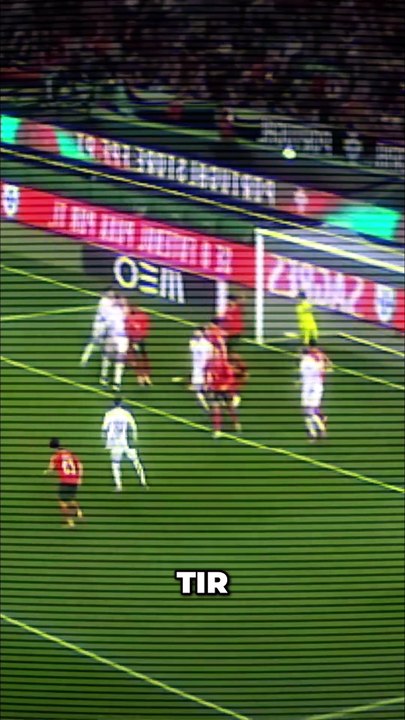 Danemark  marque CONTRE son camp ! Puis 2 buts contre le Portugal !