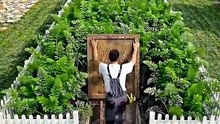 I built a hidden underground bedroom beneath a backyard garden #underground #backyardbuild #hiddenroom #shelter