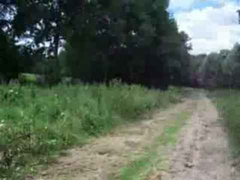Lise et Audrey à cheval au galop