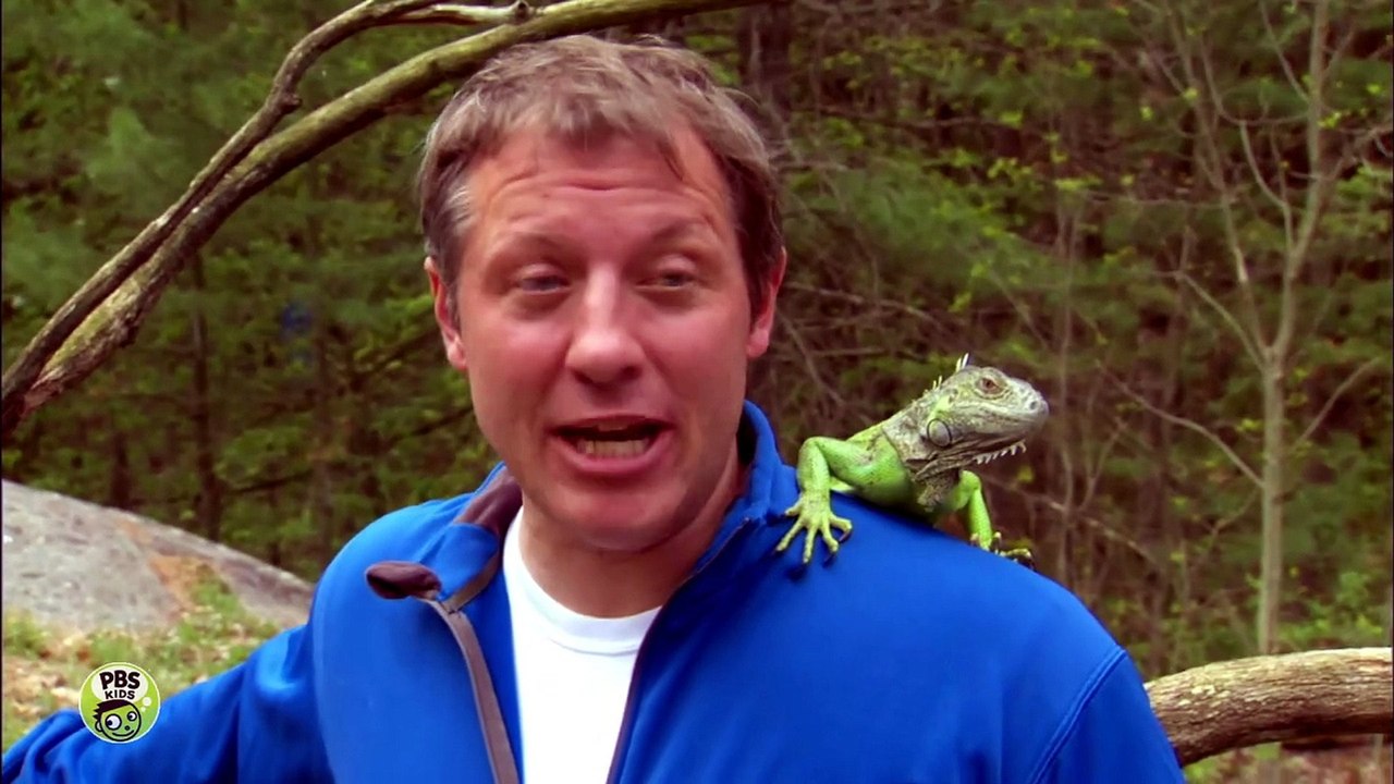 Wild Kratts Flight of the Draco