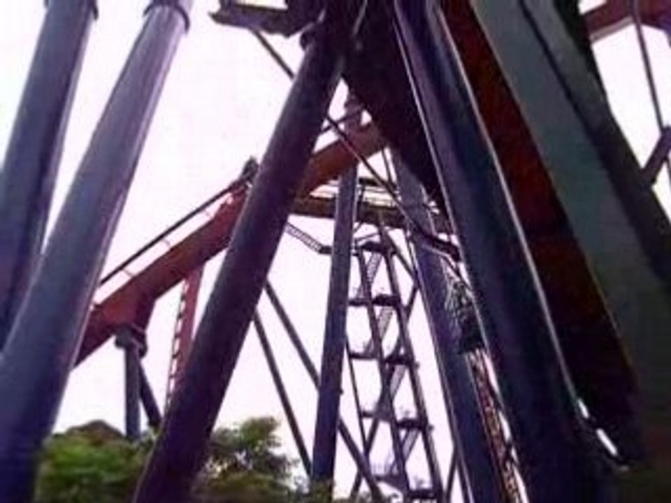 Busch Garden - Tampa