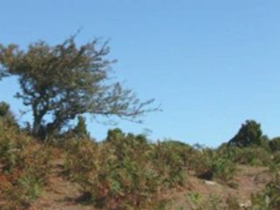 Teghime