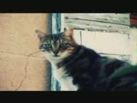 JEUNES VOIX LYRIQUES