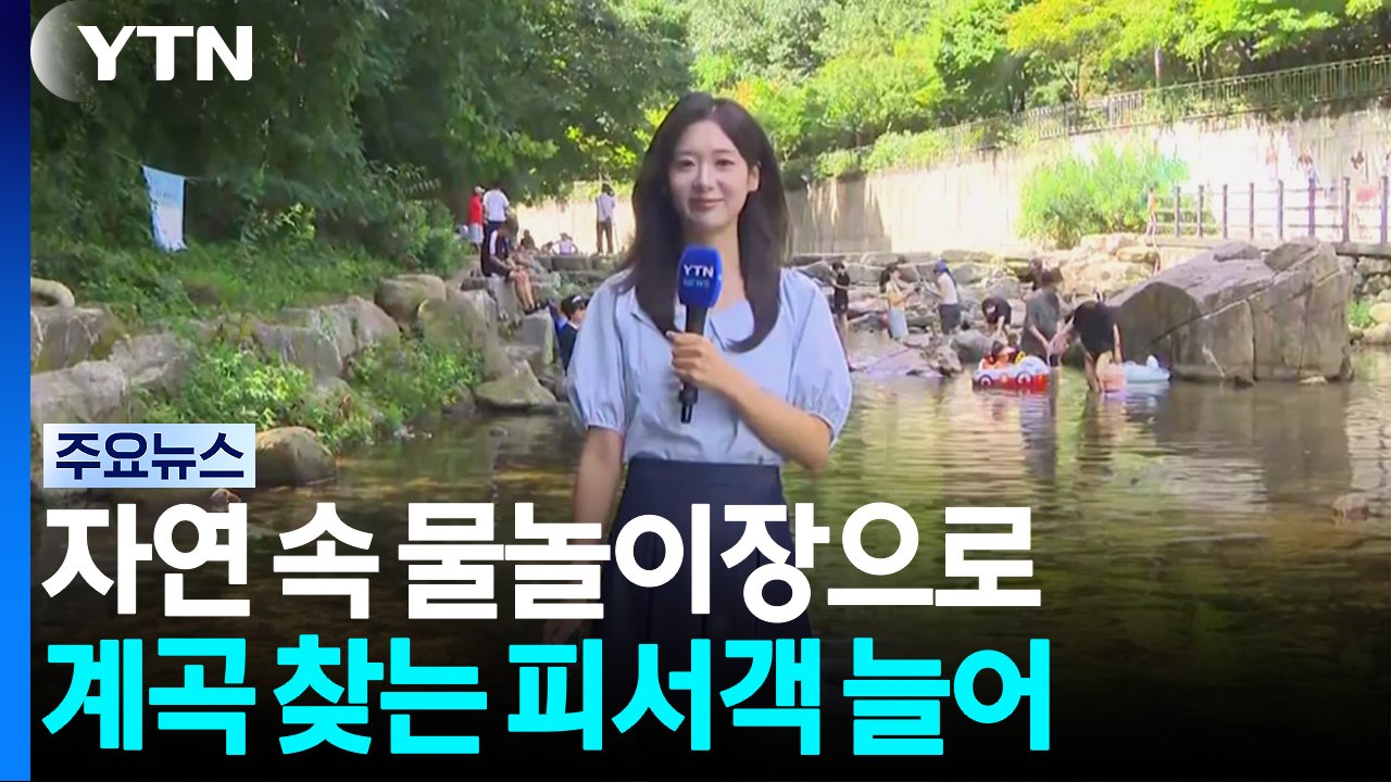 자연 속 물놀이장으로!...계곡 찾는 피서객 크게 늘어 / YTN