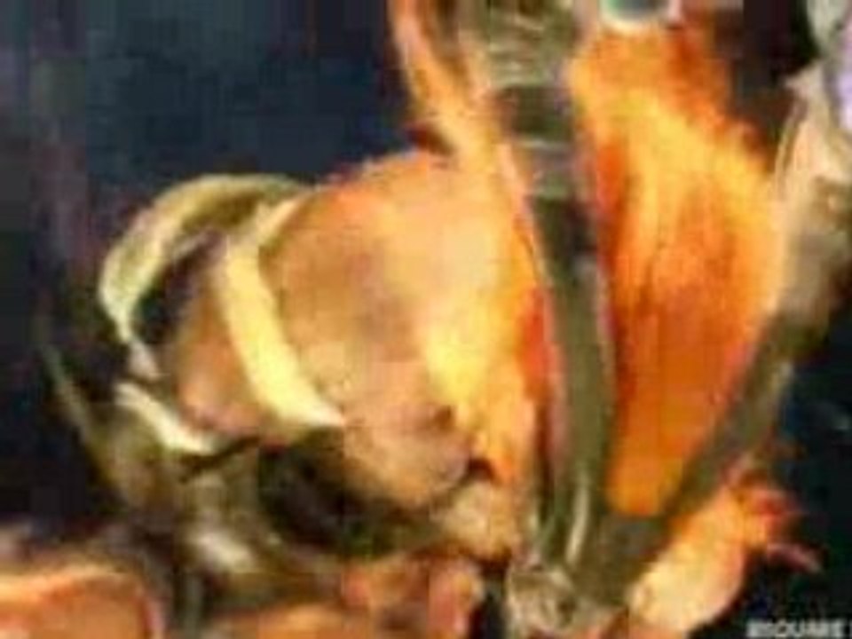 Final Fantasy XIII - E3 Japanese Trailer