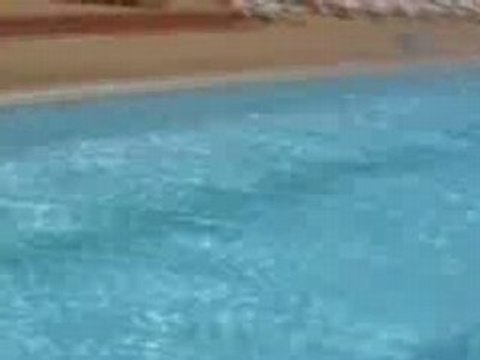 Le Club Ados - Pub Piscine