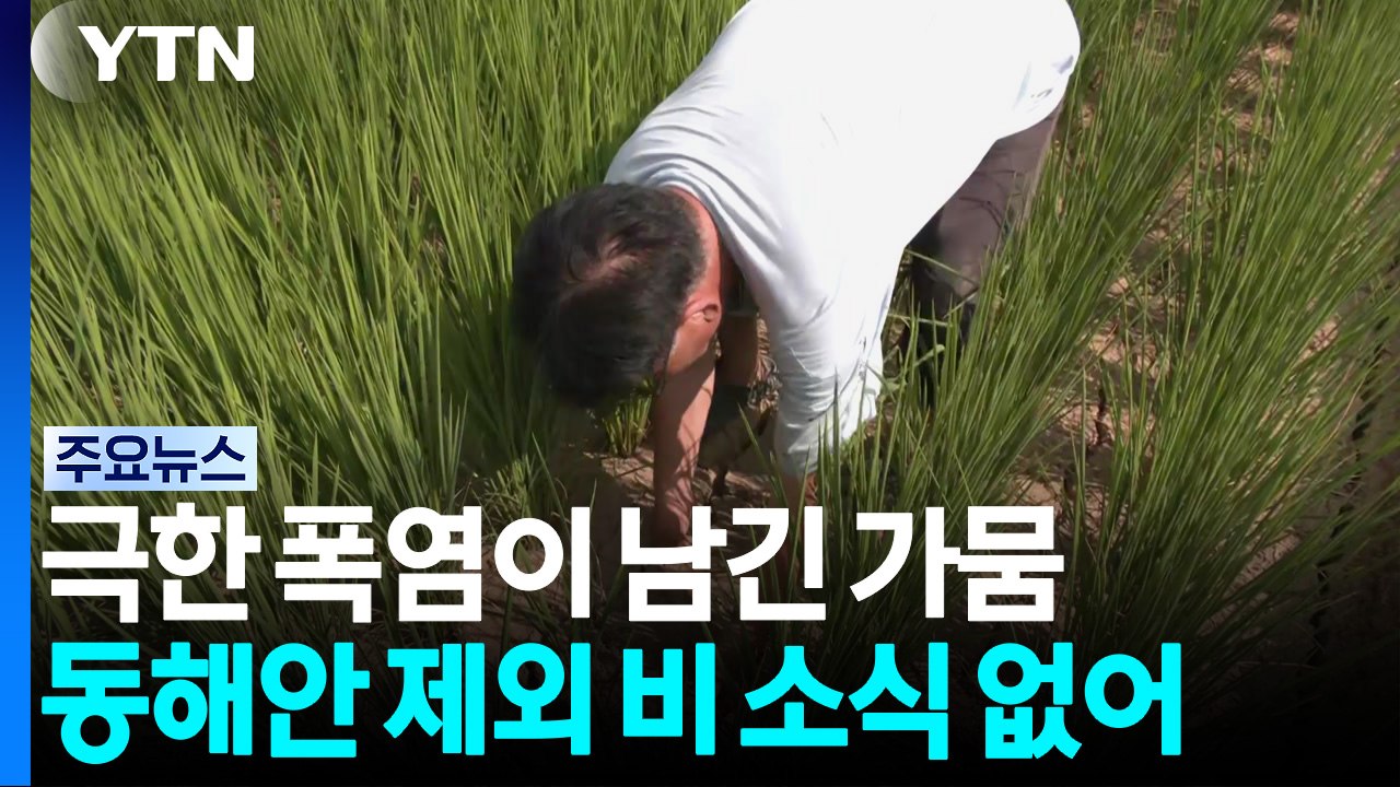 [날씨] 극한 폭염이 남긴 가뭄...동해안 제외 비 소식 없어 / YTN