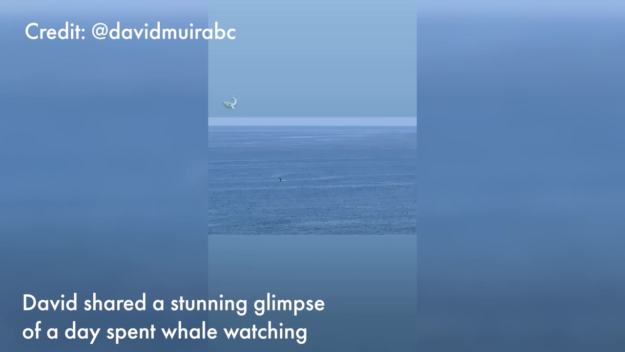David Muir's weekend adventure