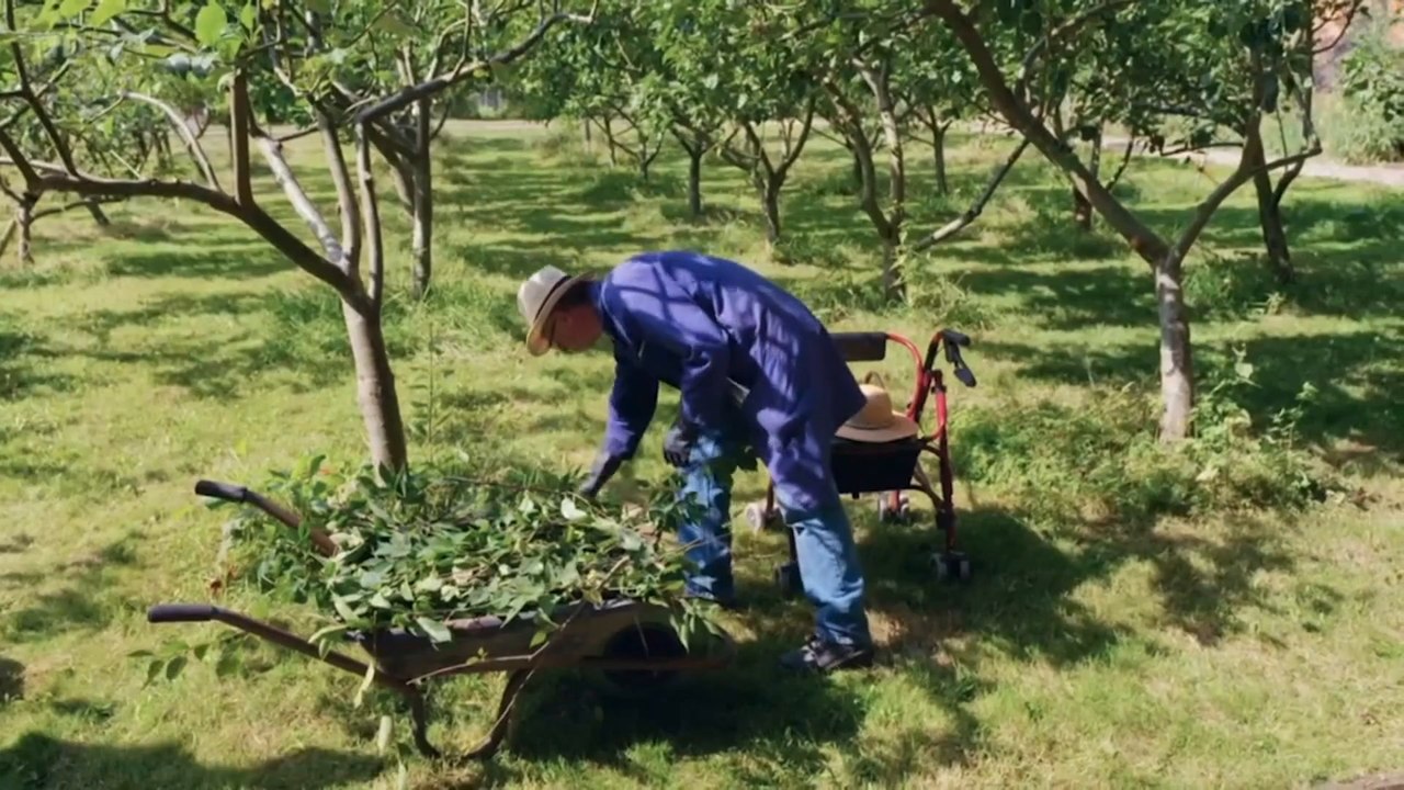 Gardeners' World: Guest 'emotional' as Adam praises her garden