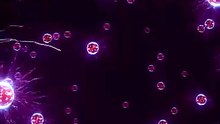 Tiny CRISPR: Gene Editing INSIDE YOU! 🤯