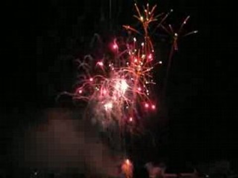 Feux d'artifice 14 juillet 2008 Versailles