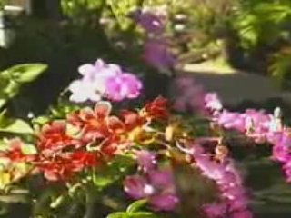 Outrigger Kiahuna Plantation Video Tour