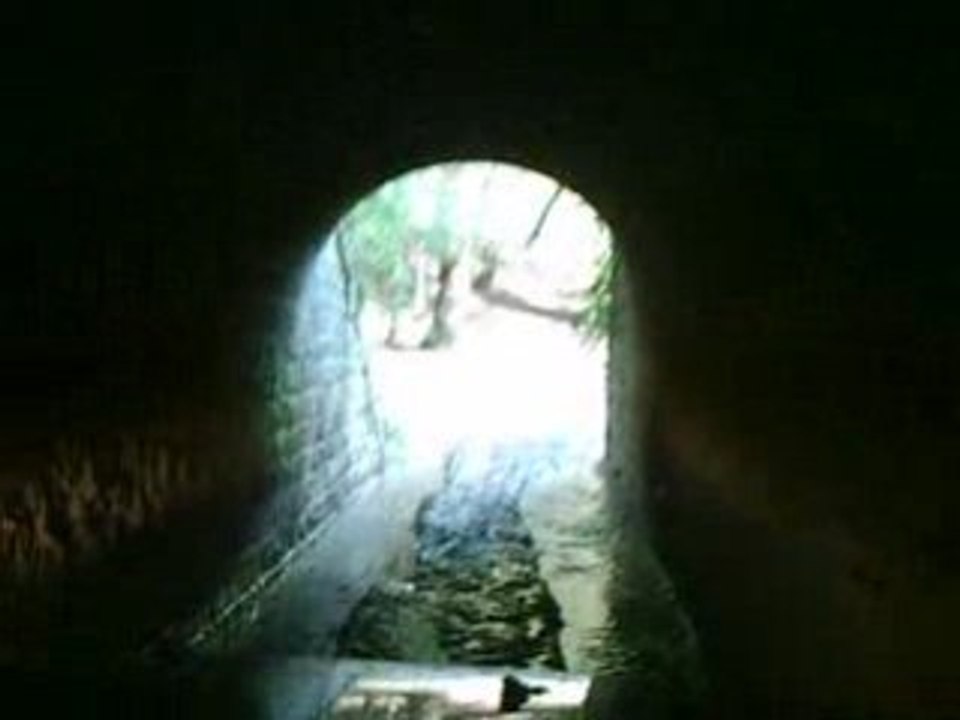 Avril2008 007