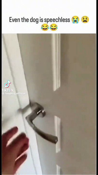 Funny moments
