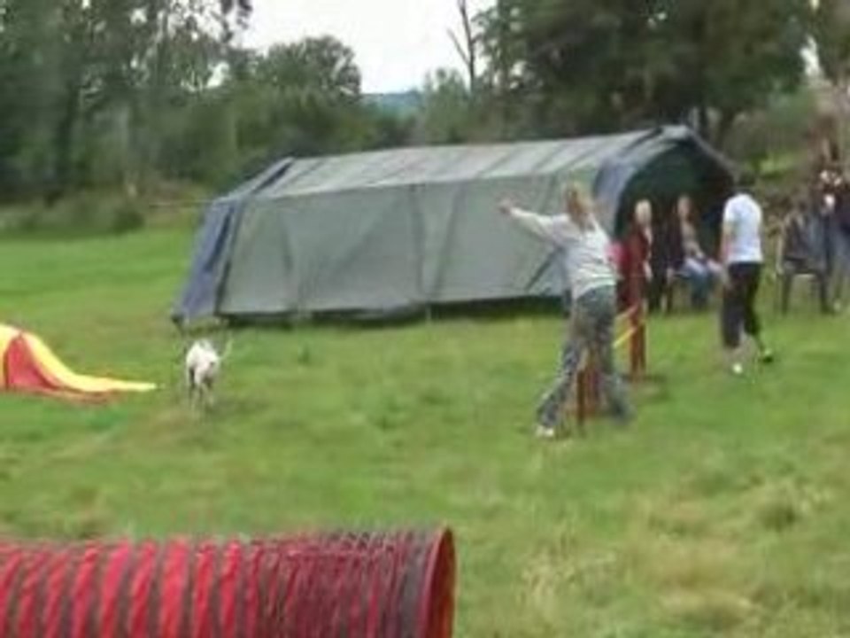 Le puy en velay 3eme partie agility (1)