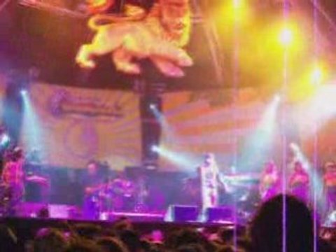 RotoTom SunSplash 2008 european reggae festival jah cure