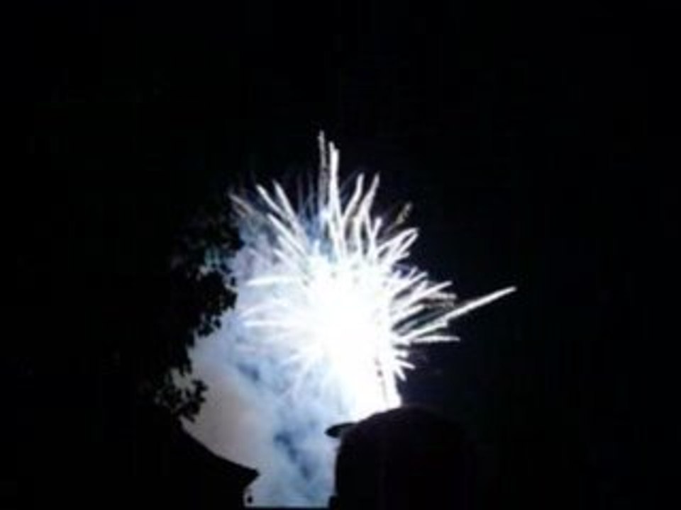 Feux d artifice du 14 juillet à stras suite 4