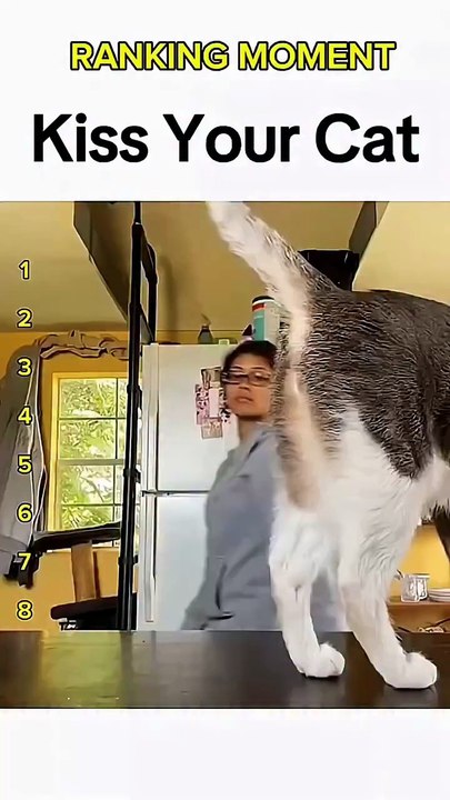 Best Moment Kiss Your Cat 😸😍😍😍