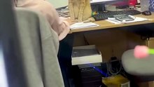 The Best Orange Cat Moment 😍😍😍
