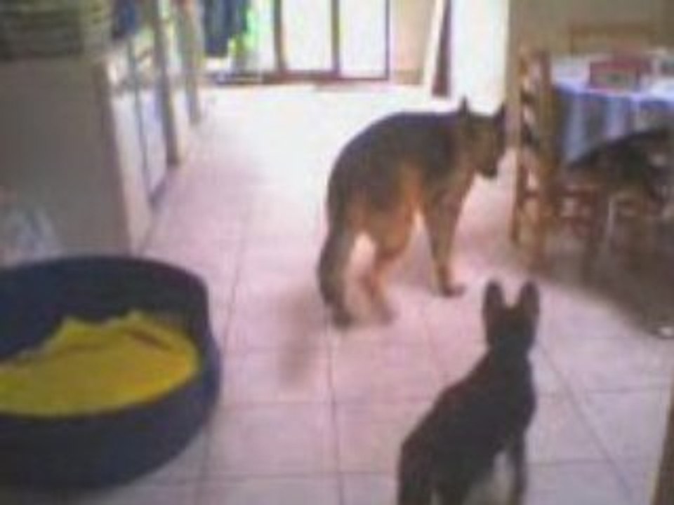 Rex,roxane