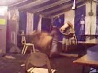 baston de 2 petits...violent .12