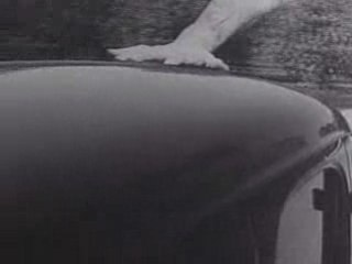1935 Award Winning Driver Training Animation Feature by GM