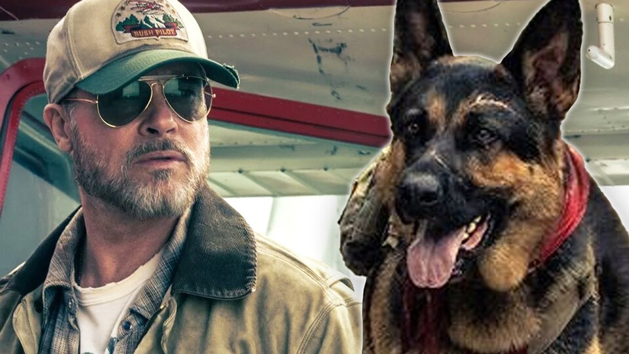 Ihr denkt, Brad Pitt ist der Star des neuen Action-Thrillers Eiserne Wildnis? Nein, es ist sein pensionierter Militärhund Odin!