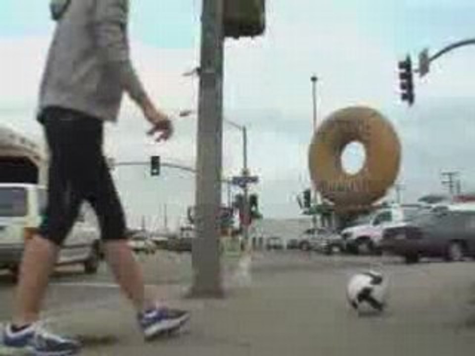 Freestyle Horse Randy's Donuts