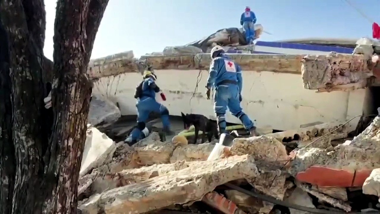 terremoto colombia